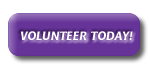 Volunteer to help at Freedom Riders